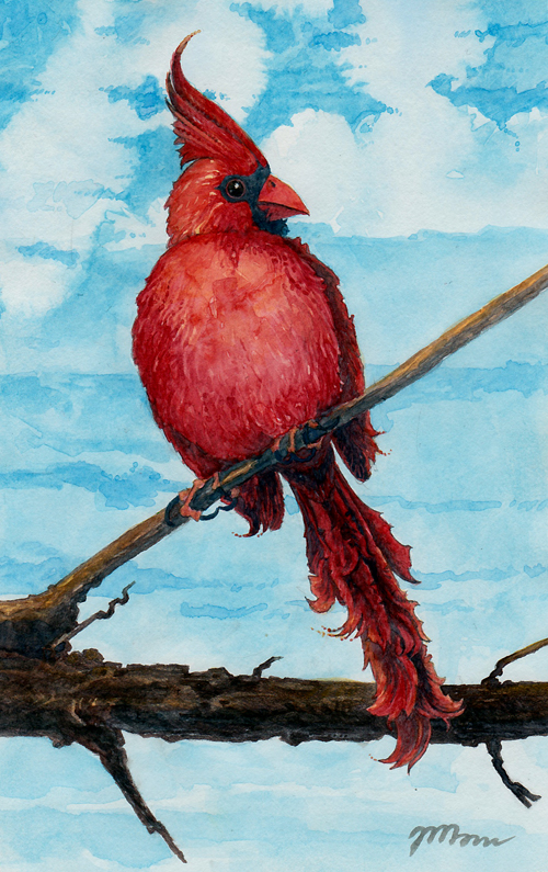 proud cardinal bird original watercolor painting red